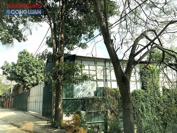 Đông Anh (Hà Nội): Sẽ xử lý loạt nhà xưởng xây dựng trái phép trên đất nông nghiệp tại xã Dục Tú