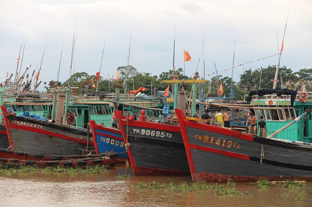Các tàu cá tại xã Hòa Lộc, huyện Hậu Lộc, Thanh Hóa.
