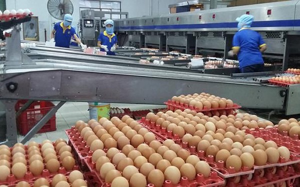 Bộ Công Thương công bố hạn ngạch thuế quan nhập khẩu muối, trứng gia cầm năm 2021