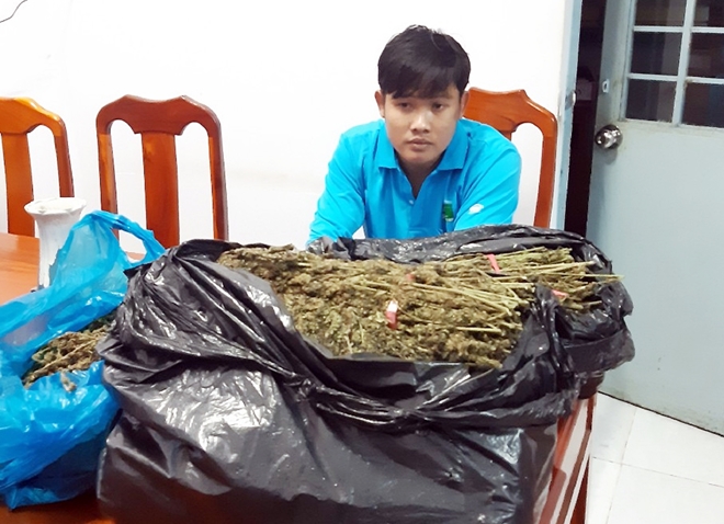 Thu giữ 10,7kg thảo mộc nghi là cần sa tại An Giang