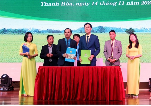 Công ty CP thương mại Sao Khuê ký kết thỏa thuận hợp tác thực hiện chương trình “Phúc lợi cho đoàn viên và người lao động tỉnh Thanh Hóa” với Liên đoàn Lao động tỉnh Thanh Hóa