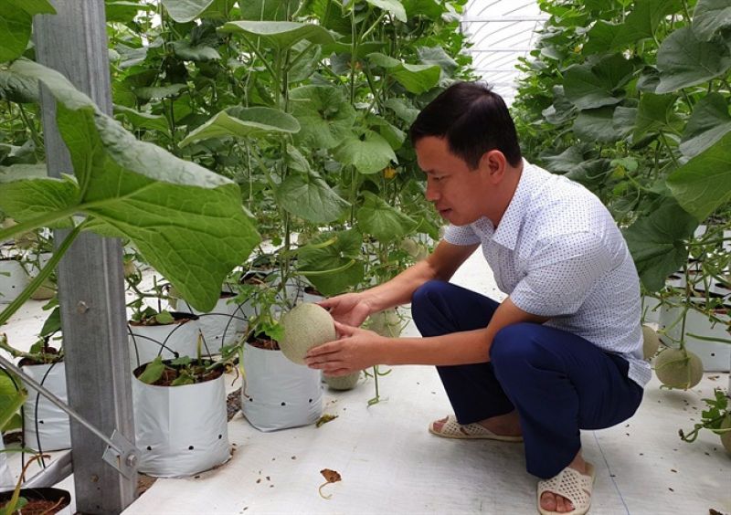 Queen Farm và sự lựa chọn trên hành trình khởi nghiệp