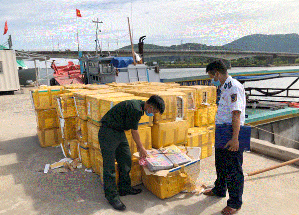 Kiên Giang: Cảnh sát biển bắt giữ 7 tấn thuỷ sản có dấu hiệu vi phạm