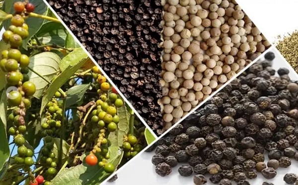 Giá tiêu ngày 9/1: Giá tiêu trong nước và thế giới giảm nhẹ