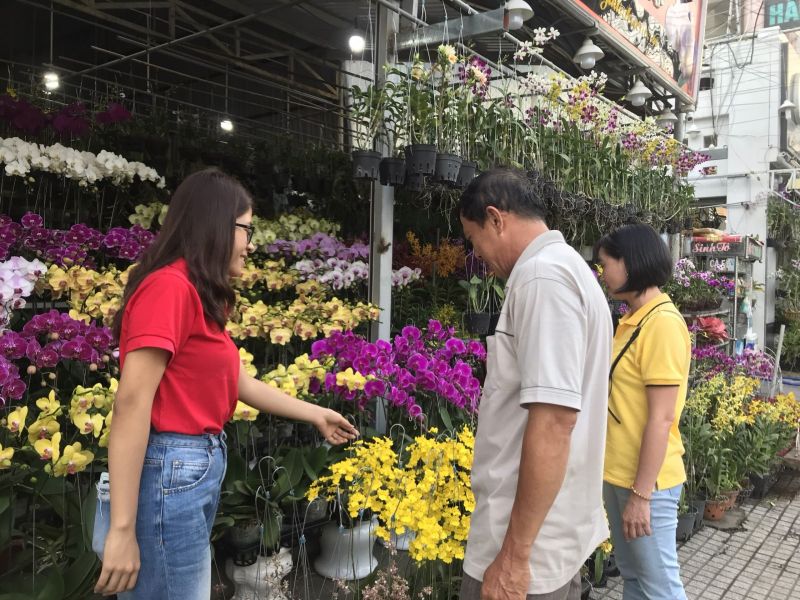 Khách tìm đến mua hoa lan tại một cửa tiệm trên đường Ngô Quyền, TP.Thủ Dầu Một