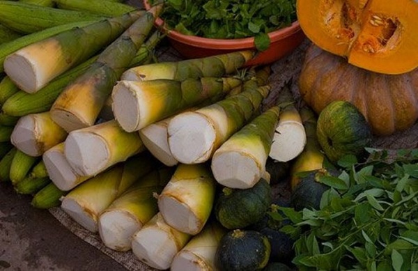 Cấp bảo hộ chỉ dẫn địa lý cho sản phẩm măng tre Bát Bộ Yên Bái