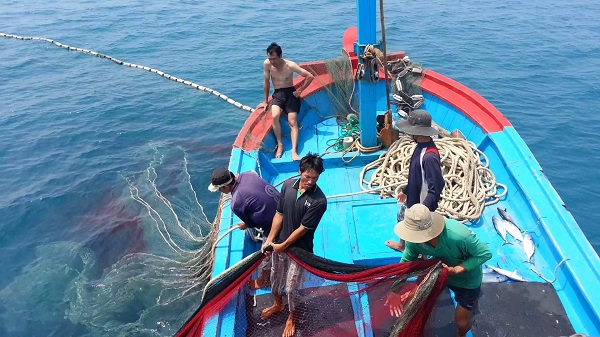 Chính phủ 14 nước thông qua Sáng kiến đánh bắt hải sản bền vững