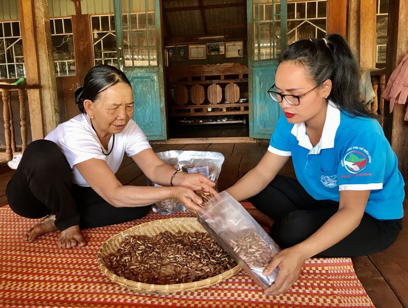 Gia Lai: Hạt kơ nia, đặc sản nổi tiếng của vùng đất Ia Mơ Nông