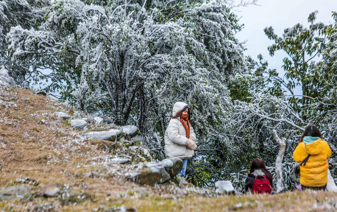 Dự báo thời tiết ngày 19/1: Bắc Bộ rét đậm, rét hại