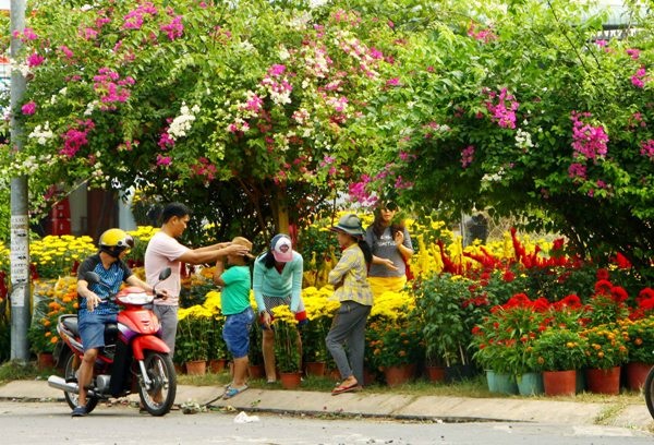 Hà Nội tổ chức 89 điểm chợ hoa xuân phục vụ Tết Tân Sửu 2021