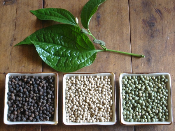 Thị trường nông sản ngày 20/1: Giá tiêu, cà phê cùng tăng