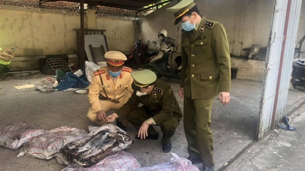 Quảng Ninh: Thu giữ gần 650 kg mực ống đang phân huỷ, hôi thối đang trên đường đi tiêu thụ