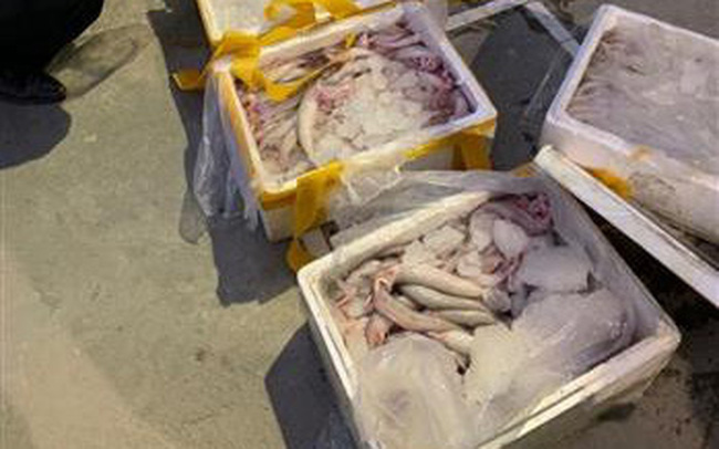 Chặn 250 kg cá khoai đã ướp formol trên đường tiêu thụ