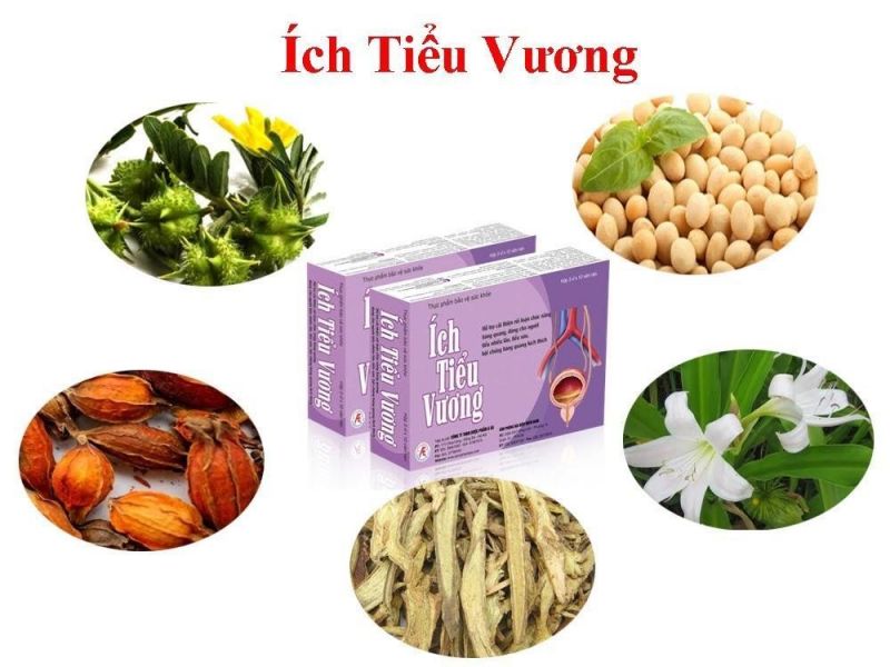 Tại sao Ích Tiểu Vương hiệu quả cho người bị đái dầm?