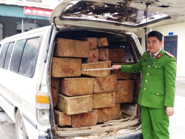Toàn bộ số gỗ lậu do Công an huyện Can Lộc phát hiện, thu giữ