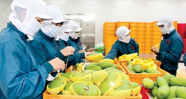 Xuất khẩu nông sản đón tin vui đầu năm 2021