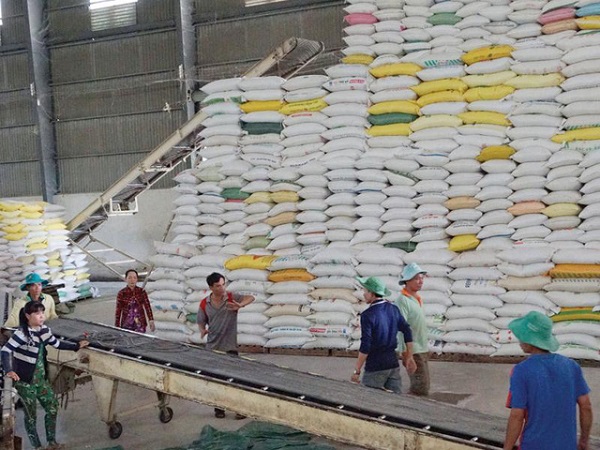 Tháng 1/2021, Việt Nam xuất khẩu hơn 347 nghìn tấn gạo