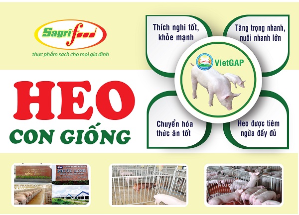 Sagrifood đơn vị cung cấp con giống chất lượng cao