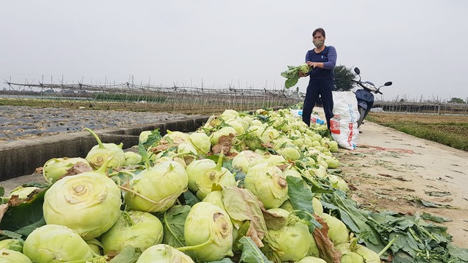 Bộ Công Thương hướng dẫn thu mua, tiêu thụ nông sản của vùng đang có dịch