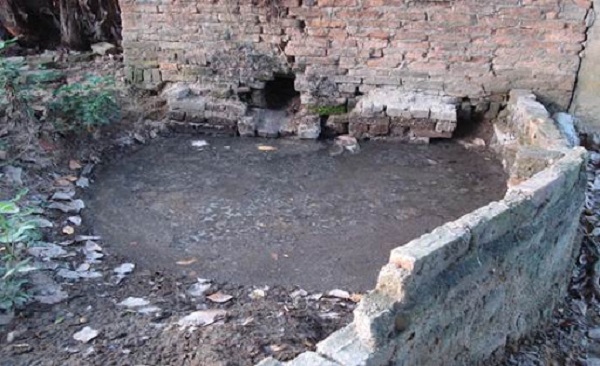 Bị phạt đến 20 triệu đồng khi vi phạm quy định về xử lý chất thải trong chăn nuôi