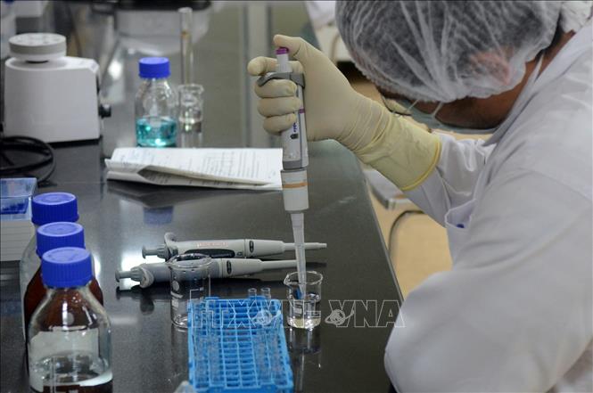 Nghiên cứu viên bào chế vaccine phòng COVID-19 tại phòng thí nghiệm của Viện sản xuất vaccine lớn nhất Ấn Độ ở Pune. Ảnh: Reuters/TTXVN