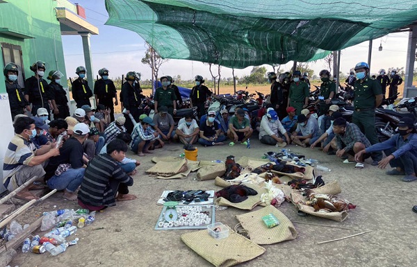 Tiền Giang: Triệt phá tụ điểm đánh bạc bằng hình thức đá gà ăn tiền, thu hơn 200 triệu đồng tiền mặt