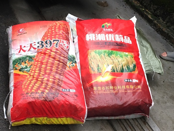 Hà Giang: Gần 1.700 gói giống lúa đang trên đường tiêu thụ thì bị thu giữ