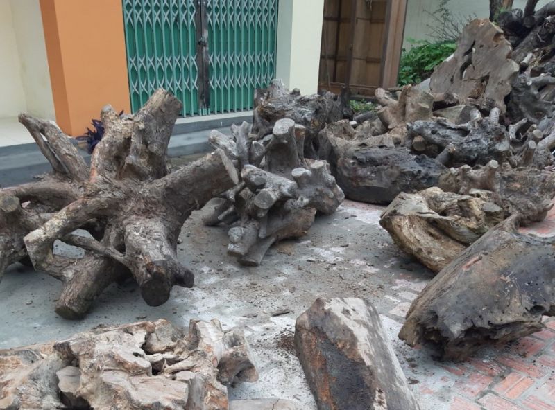 Phát hiện 1,63 tấn gỗ không rõ nguồn gốc