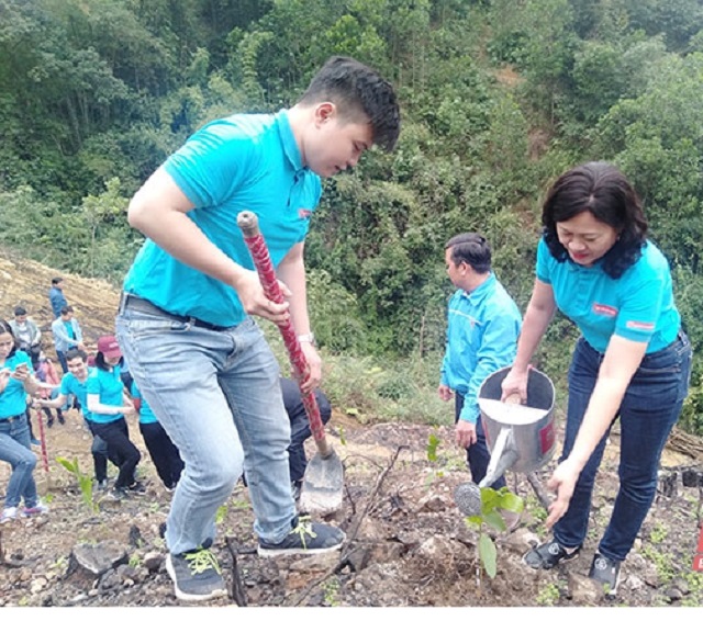 Cán bộ, đoàn viên Agribank Nam Thanh Hóa tặng và trồng cây keo cho người dân thị trấn Thường Xuân (Thường Xuân).