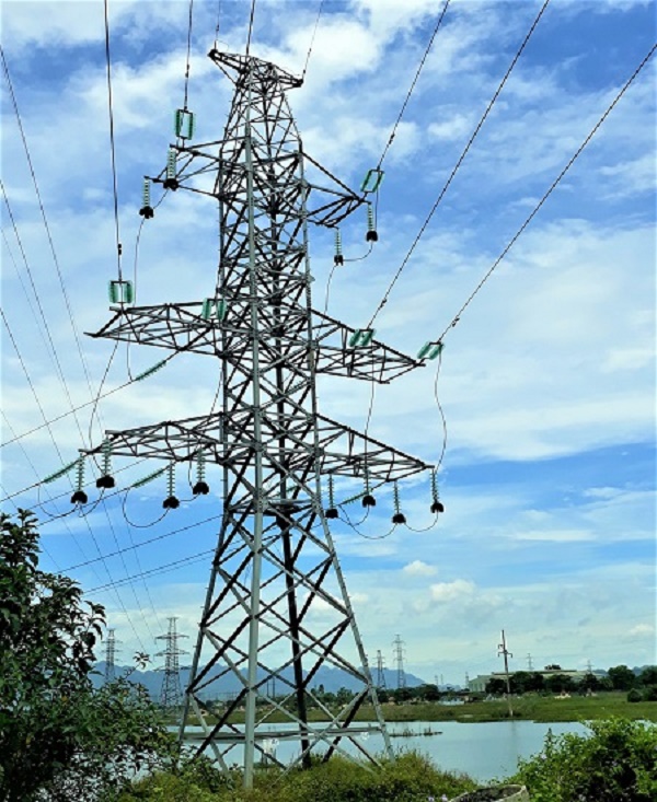 Tiềm ẩn mất an toàn đối với lưới điện từ cây xanh