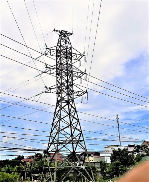 Điện lực Ninh Bình xử lý kịp thời các trường hợp có nguy cơ gây sự cố đối với hành lang lưới điện