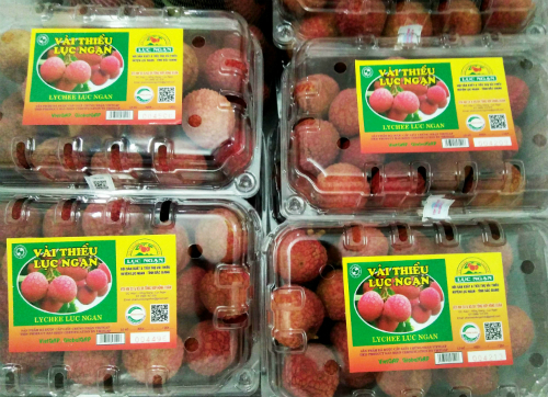 Vải thiều Lục Ngạn (Bắc Giang): Sản phẩm đầu tiên của Việt Nam được cấp bằng chỉ dẫn địa lý tại Nhật