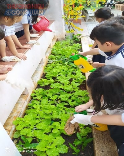 Hoạt động trải nghiệm chăm sóc vườn rau của các em học sinh lớp một Trường Tiểu học Nguyễn Thái Học, TP.Vũng Tàu