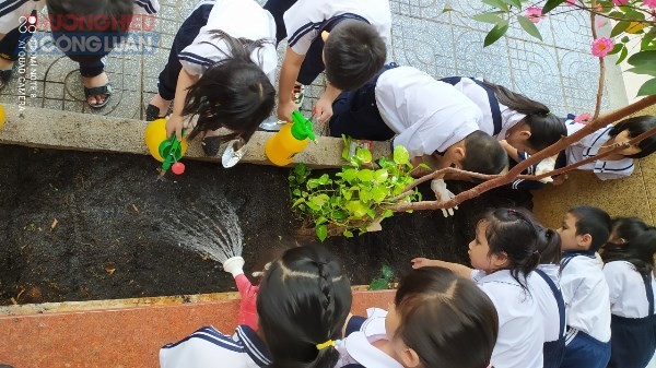 Hoạt động trải nghiệm trồng rau xanh trong khuôn viên trường học của các em học sinh lớp một Trường Tiểu học Nguyễn Thái Học, TP.Vũng Tàu
