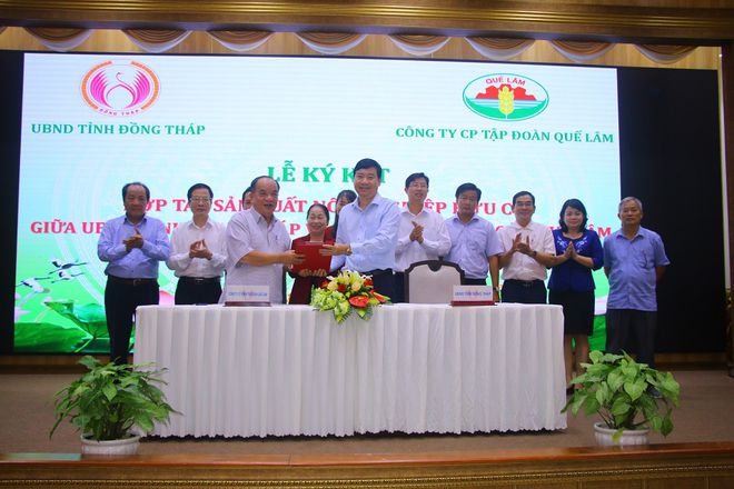 UBND tỉnh Đồng Tháp ký kết hợp tác với Công ty CP Tập đoàn Quế Lâm về phát triển nông sản hữu cơ. TRẦN NGỌC