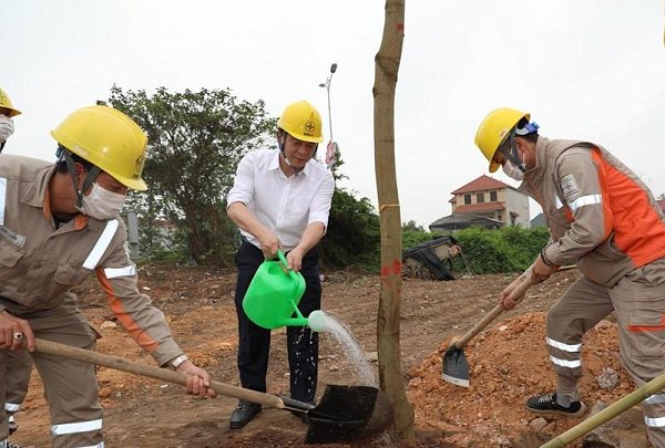 Ông Lê Văn Trang - Phó tổng Giám đốc tham gia trồng cây cùng CBCNV Công ty Điện lực Vĩnh Phúc