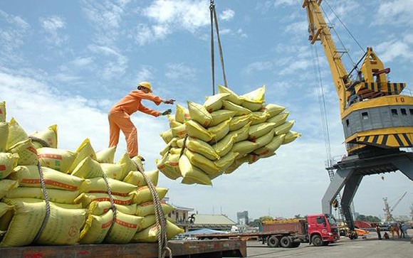 Xuất khẩu gạo giảm tại một số thị trường