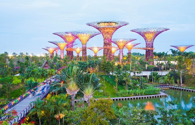 Gardens by the Bay tại Singapore là một công viên thành thị, được khánh thành từ năm 2012. “Đặc sản” của nơi đây là 18 cấu trúc cao được gọi là “siêu cây”. Theo đó, “siêu cây” cao nhất đạt mức 50m. Buổi tối vào khoảng 7 giờ 45 phút tại Gardens by the Bay thường tổ chức chương trình âm nhạc và ánh sáng để du khách thưởng thức. Ảnh: Getty Images