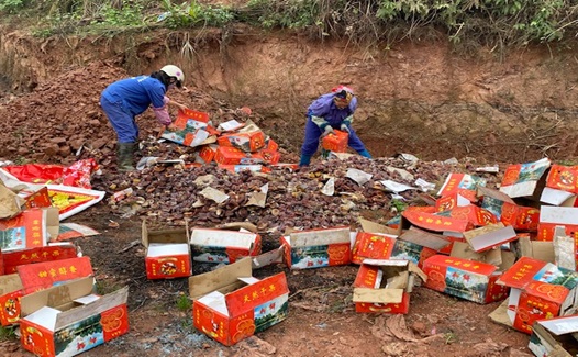 Lực lượng QLTT Lạng Sơn tiêu hủy hơn 1000kg hồng quả sấy dẻo nhập lậu