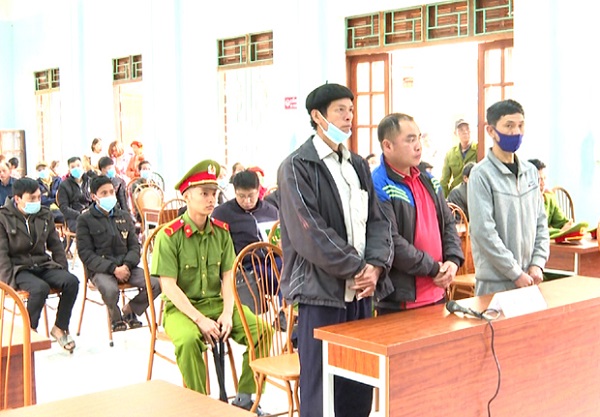 Trên 80 tháng tù giam cho 3 đối tượng về tội "Vi phạm quy định về khai thác, bảo vệ rừng và lâm sản"