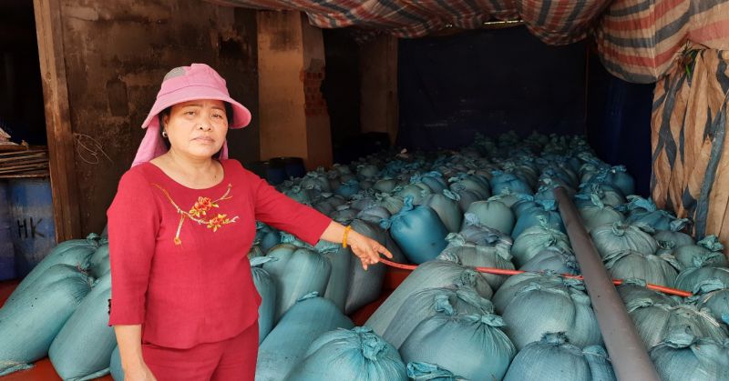 Quảng Trị: Yêu cầu tiêu hủy 600 tấn hải sản tồn kho do sự cố môi trường biển Formosa gây ra