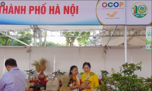 Hà Nội đề xuất ban hành chính sách đồng bộ thực hiện Chương trình OCOP