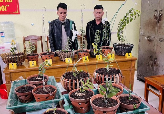 Hai đối tượng Hà Văn Thắng và Phạm Quang Hùng bị bắt giữ tại cơ quan Công an