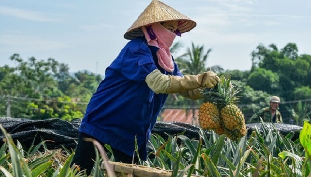 Thanh Hóa: Đẩy mạnh các hoạt động hỗ trợ phát triển sản xuất, hỗ trợ nông dân