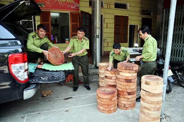 Lai Châu: Bắt giữ ô tô tải chở trên 80 thớt nghiến trái phép