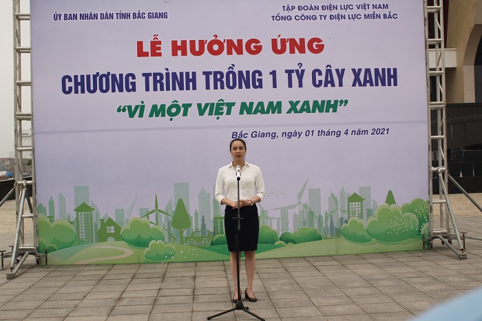Bà Đỗ Nguyệt Ánh Tổng giám đốc Tổng công ty Điện lực miền Bắc phát biểu tại buổi Lễ