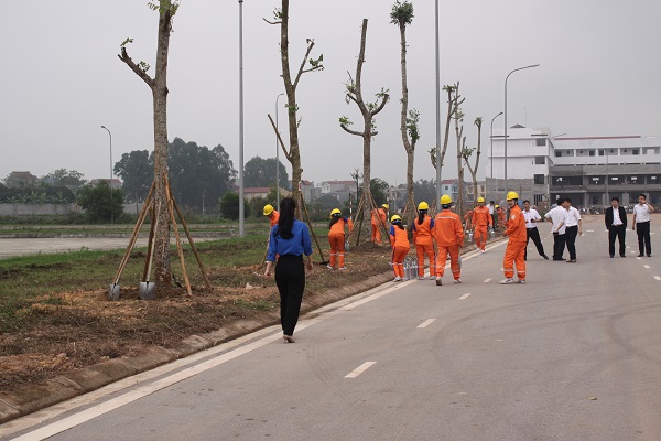 CBCNV Công ty Điện lực Bắc Giang tham gia trồng cây