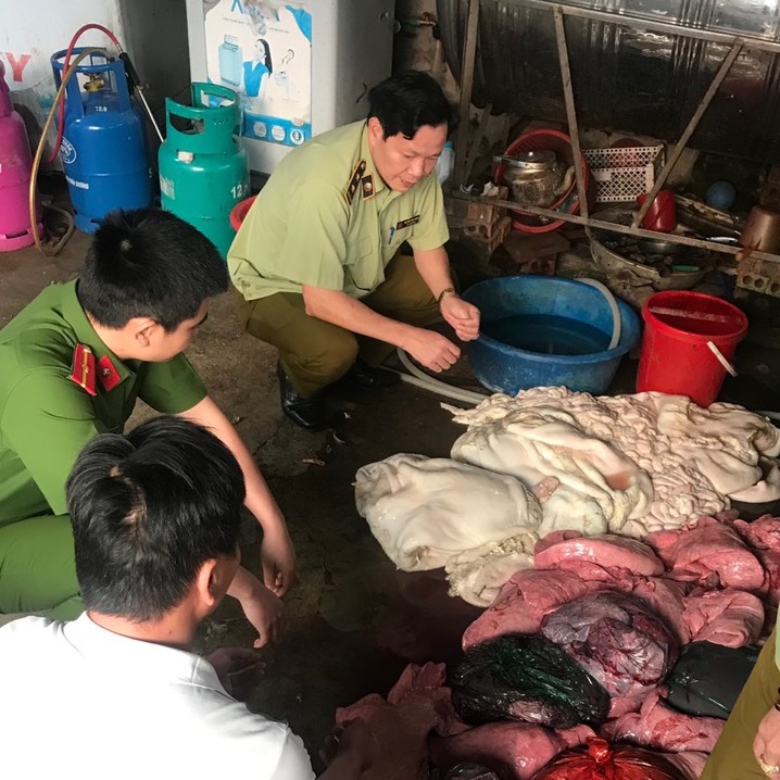 220 kg nội tạng trâu, bò không rõ nguồn gốc xuất xứ, đã bốc mùi hôi thối không đảm bảo vệ sinh an toàn thực phẩm vừa bị lực lượng chức năng tỉnh Lai Châu phát hiện và bắt giữ
