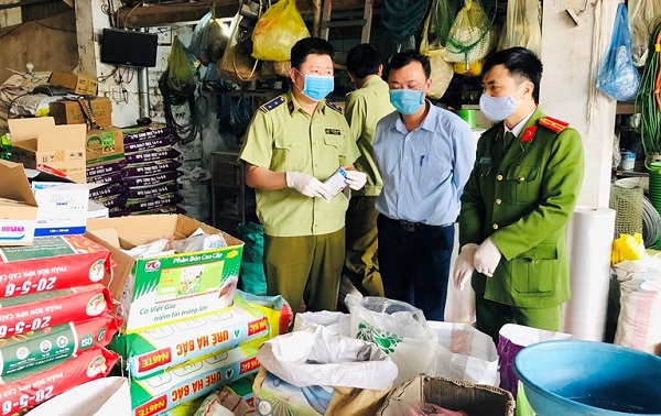 Lực lượng chức năng kiểm tra, tạm giữ 200 gói thuốc diệt chuột không rõ nguồn gốc xuất xứ tại xã Chấn Hưng, huyện Vĩnh Tường.