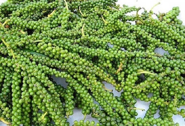 Giá tiêu ngày 9/4, giảm nhẹ 500 đồng/kg